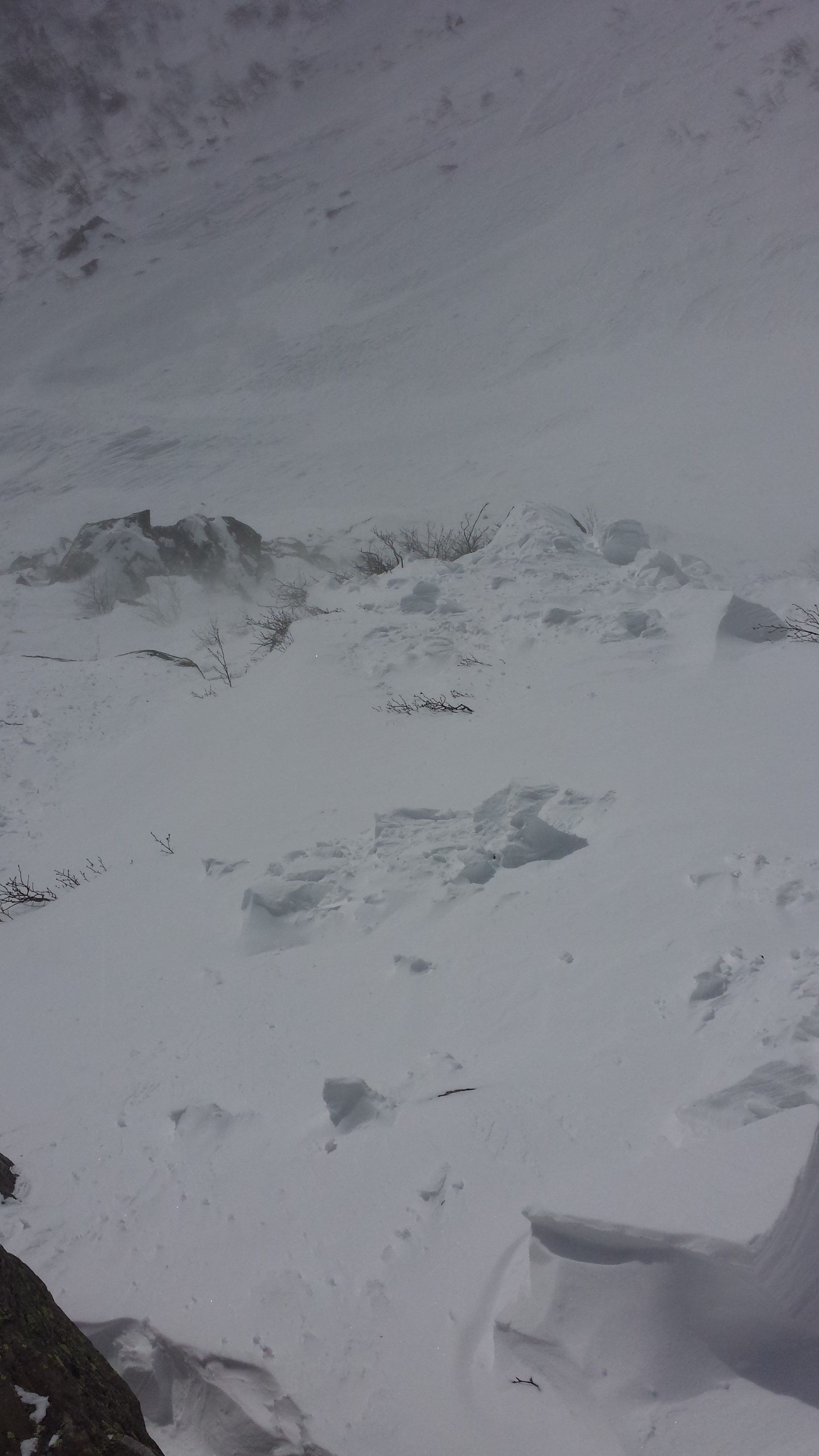 Debris in Lunch Rocks.